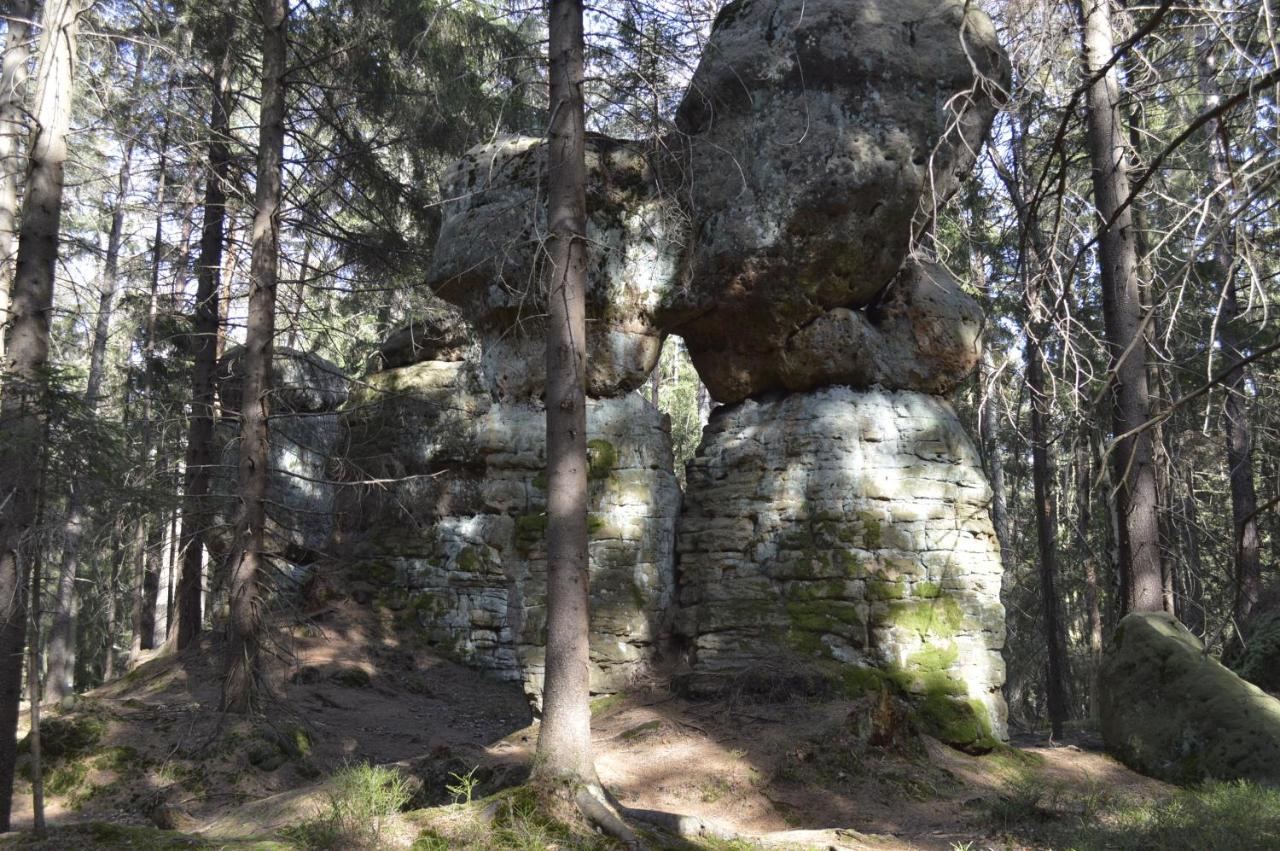 Pokoje Goscinne U Reni Wambierzyce Exterior foto